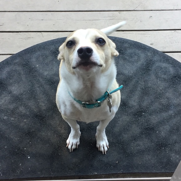 Meet your Posher, Laurie - Picture 1 of 1